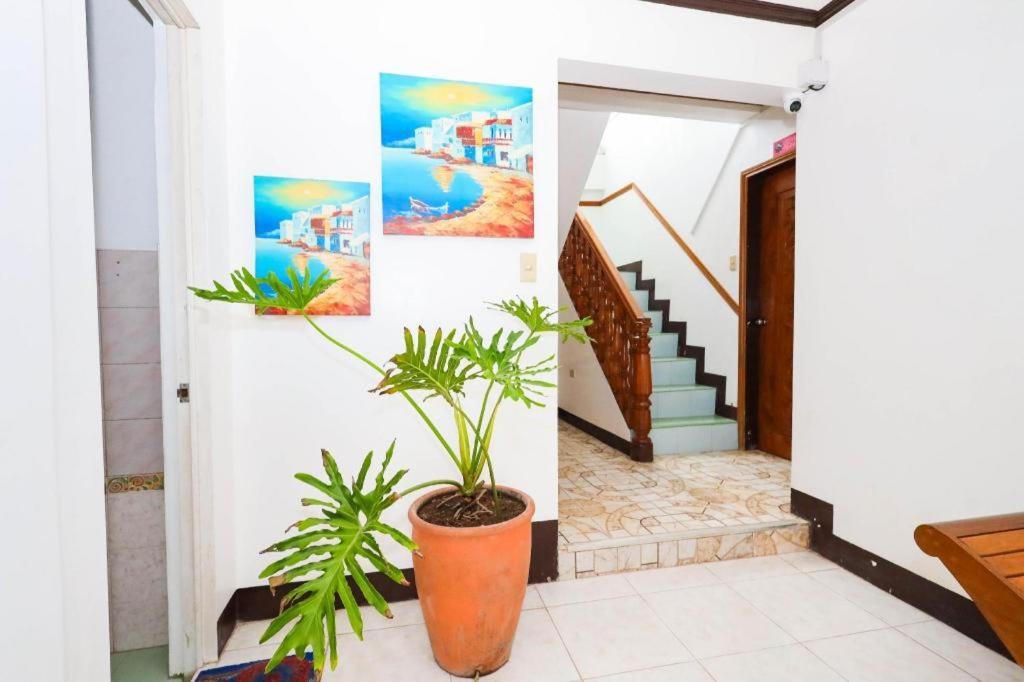 Mayon Backpackers Hostel Legazpi Eksteriør billede