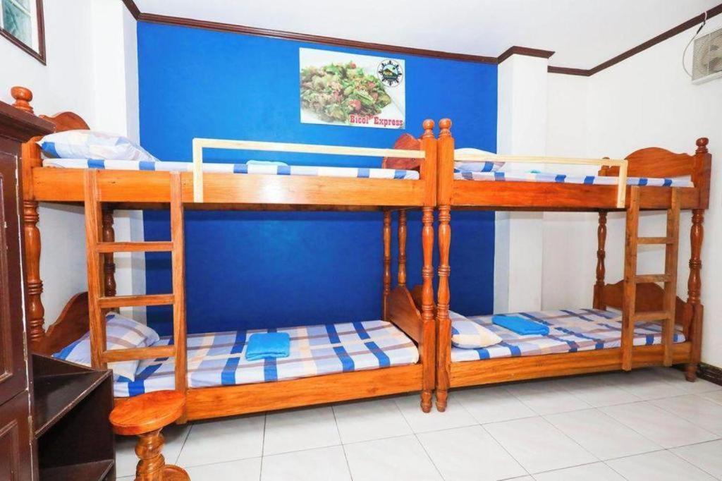 Mayon Backpackers Hostel Legazpi Eksteriør billede