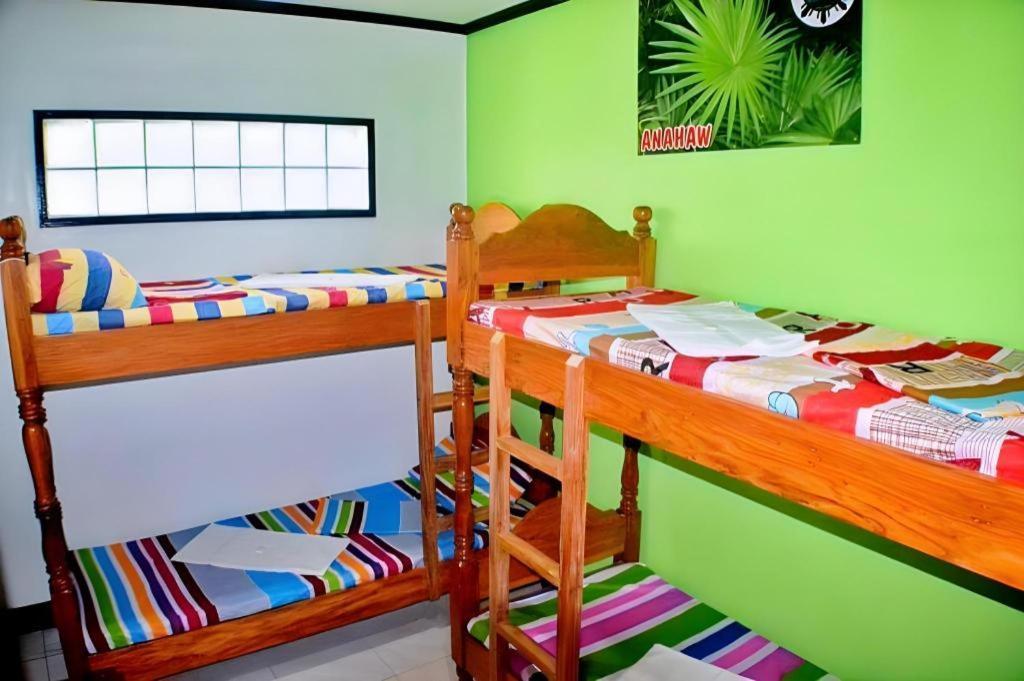 Mayon Backpackers Hostel Legazpi Eksteriør billede