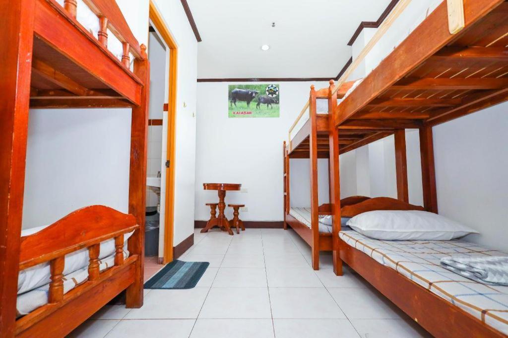 Mayon Backpackers Hostel Legazpi Eksteriør billede